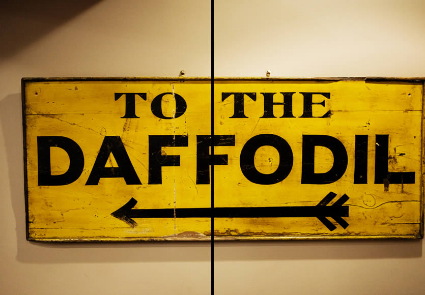 The Daffodil Contact Us