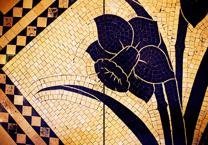 The Daffodil Partners